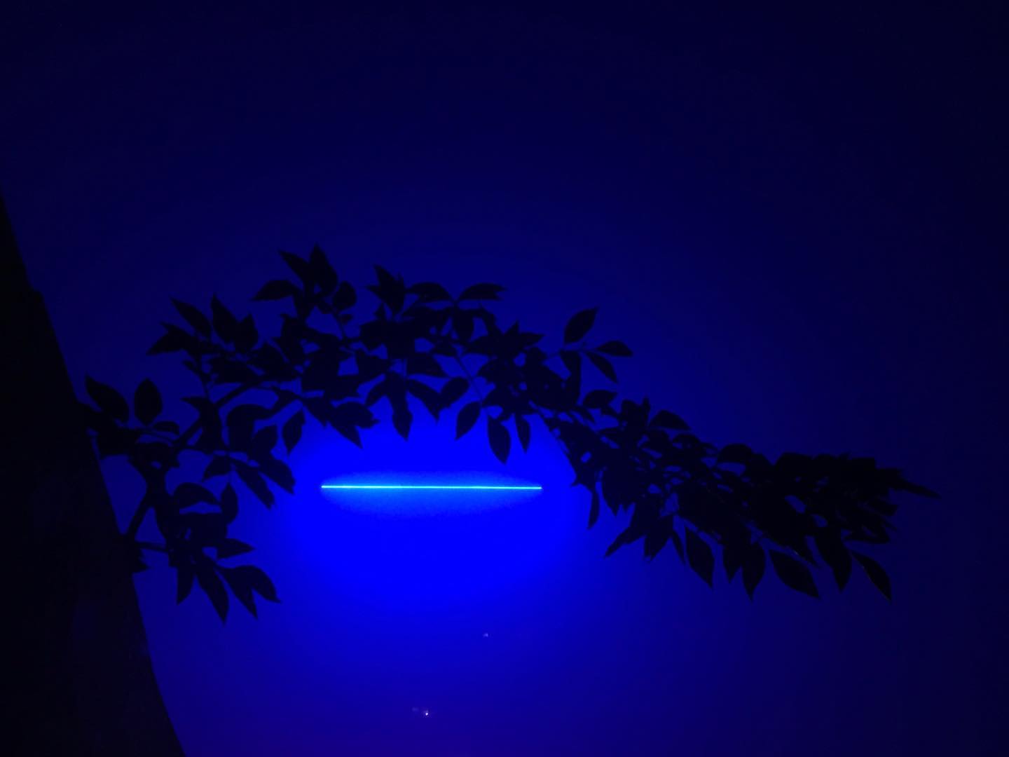 blue light floats behind reaching silhouette