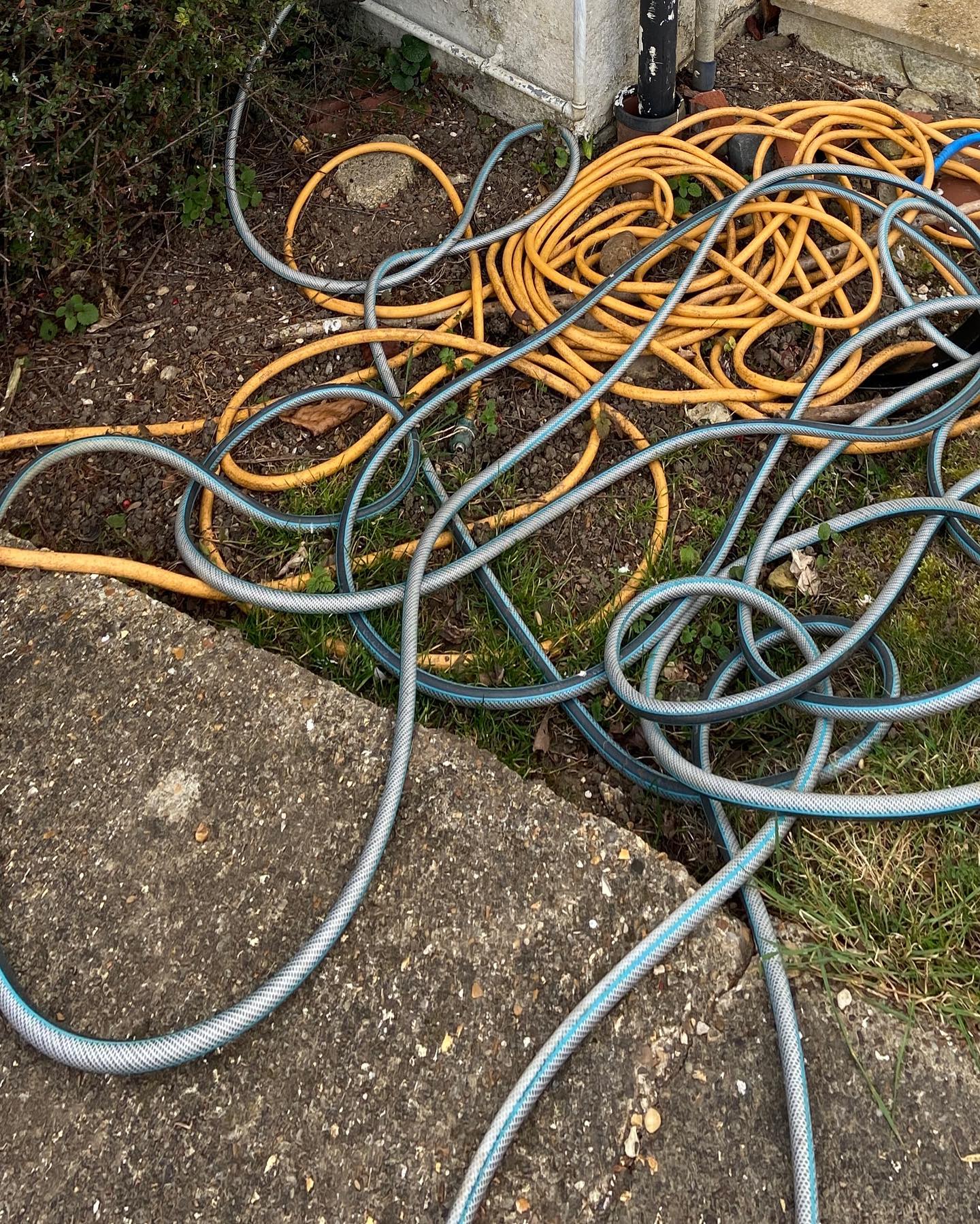 yellow and blue hoses tangle like snakes on a thin dusting of concrete and grass