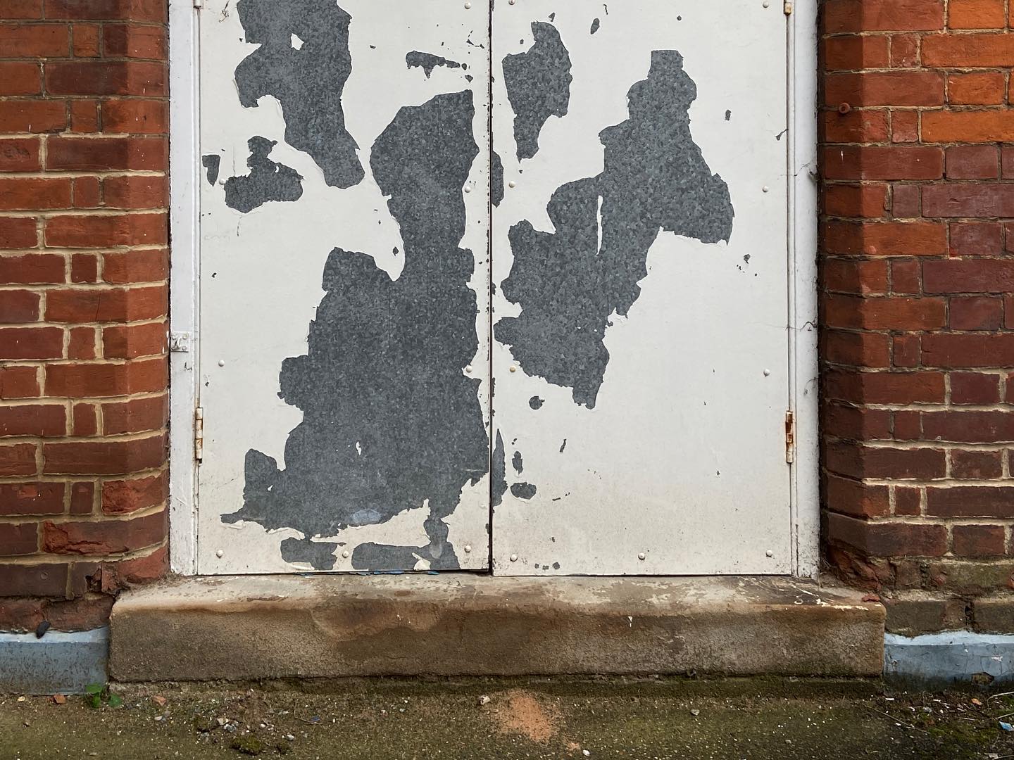 metal door painted white, dramatic peeling in blobby shapes