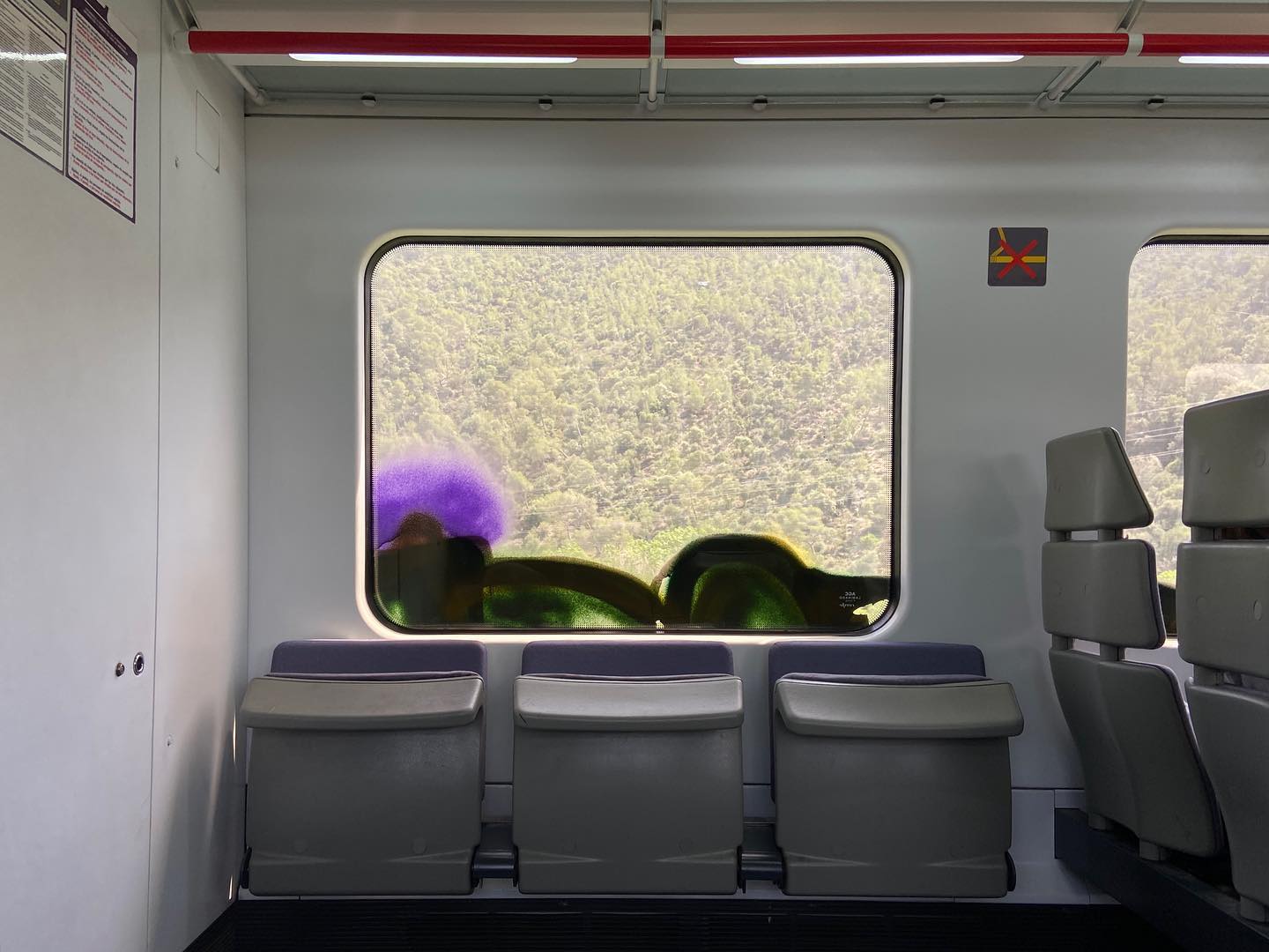 across a train carriage, looking at foldable sideways seats. red handrail above. out of the window – mountains and dense trees (which look really small because the train is high up). window is sprayed purple and green, obscuring the bottom edge