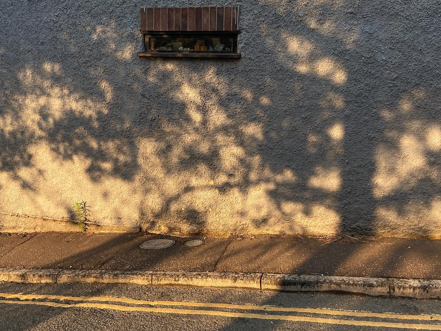 shadows of trees on a textured exterior wall, yellow sunset echoes in double yellow lines. one window